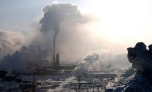 2655416_20121117082427